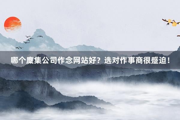 哪个麇集公司作念网站好？选对作事商很蹙迫！