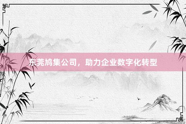 东莞鸠集公司，助力企业数字化转型