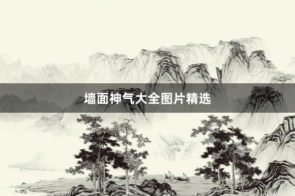 墙面神气大全图片精选