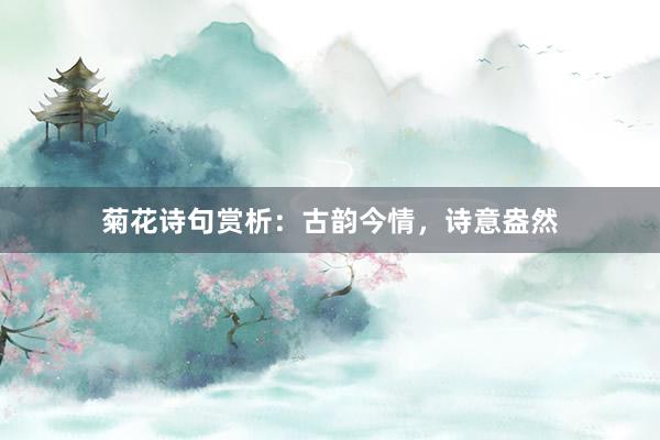 菊花诗句赏析：古韵今情，诗意盎然