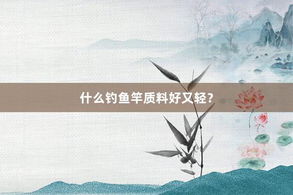 什么钓鱼竿质料好又轻？