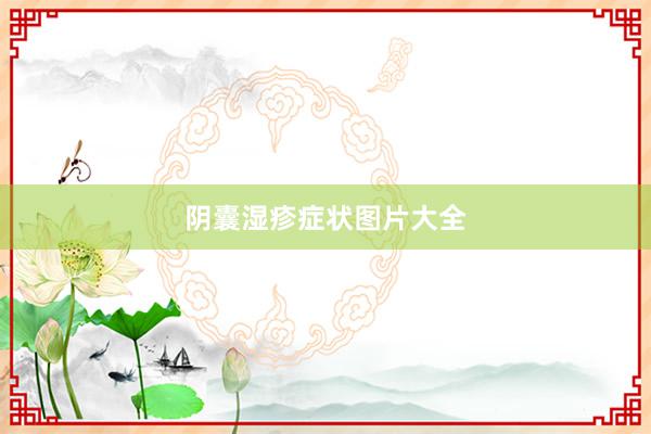阴囊湿疹症状图片大全