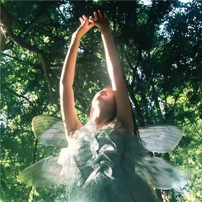 城里城外东北人第二部